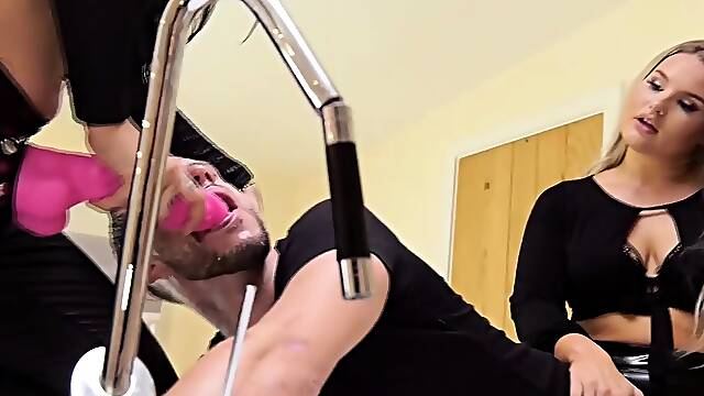 Humiliation Princess Ashleigh - The Gaymaker