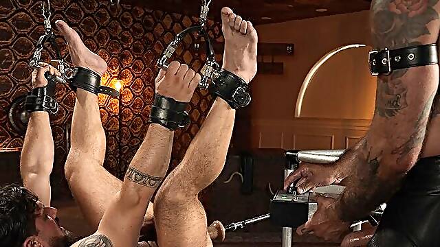 Leather and Trust