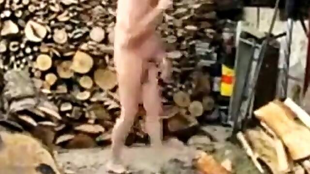 Silver Fox Strokes Wood at the Sawmill
