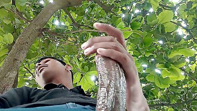 My fresh fave flick ko kisa laga