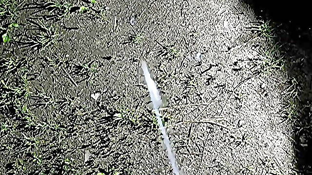 My June 2024 on Snapchat - Video Collection