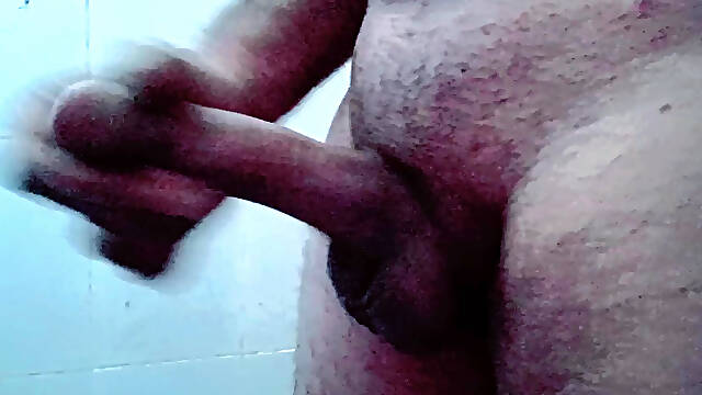 WWE UNIVERSE COCK