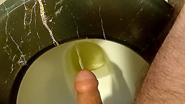 Piss sitting on my toilet.