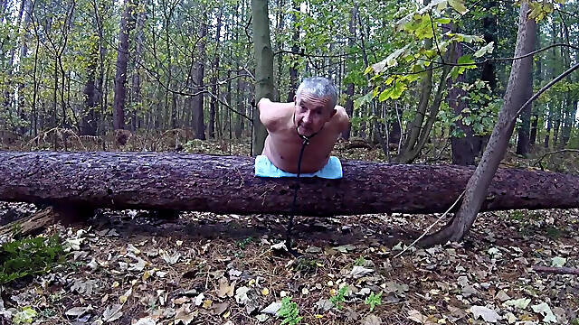 Part 2 Walk 73
