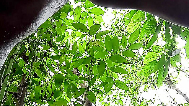 Jungle masturbate I need to go out for Horny